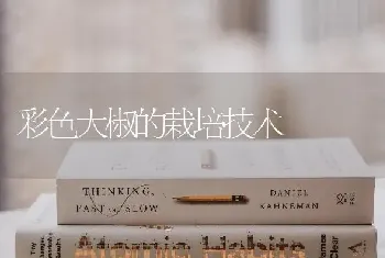 彩色大椒的栽培技术