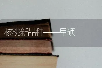 核桃新品种——早硕