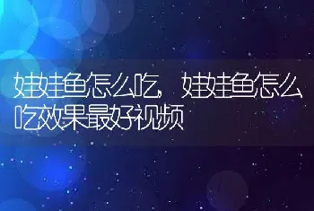 娃娃鱼怎么吃