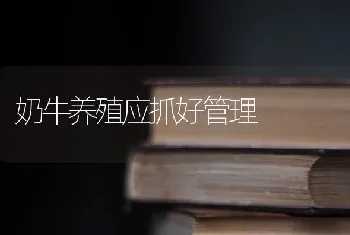 奶牛养殖应抓好管理