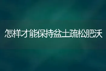 怎样才能保持盆土疏松肥沃