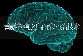 黄鳝养殖之出血病防治技术