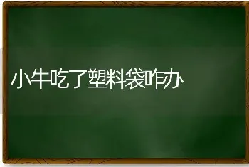 小牛吃了塑料袋咋办