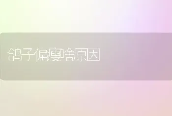 鸽子偏瘦啥原因