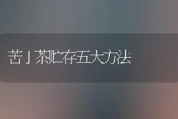 苦丁茶贮存五大方法