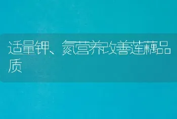 适量钾、氮营养改善莲藕品质