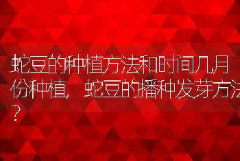 蛇豆的种植方法和时间几月份种植