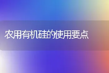 农用有机硅的使用要点