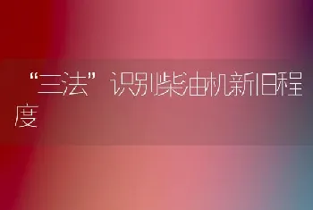 “三法”识别柴油机新旧程度