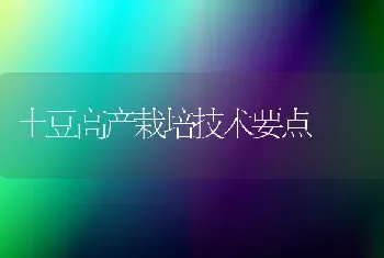 土豆高产栽培技术要点