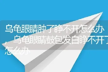 乌龟眼睛肿了睁不开怎么办,乌龟眼睛鼓包发白睁不开了怎么办