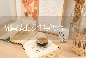 棉盲蝽的发生与防治