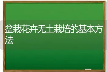 盆栽花卉无土栽培的基本方法