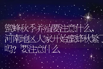 蜜蜂秋季养殖要注意什么