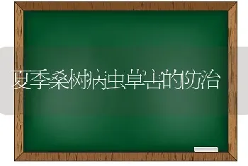 夏季桑树病虫草害的防治