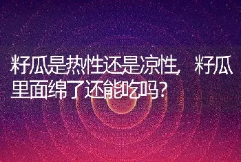 籽瓜是热性还是凉性