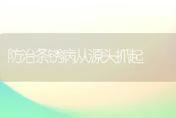 防治条锈病从源头抓起