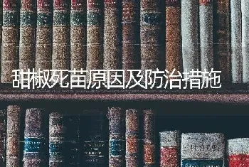 甜椒死苗原因及防治措施