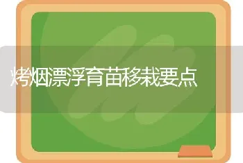 烤烟漂浮育苗移栽要点