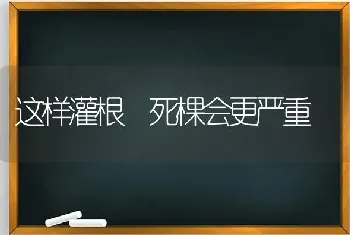 这样灌根 死棵会更严重