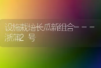 设施栽培长瓜新组合---浙蒲2号