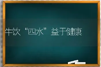 牛饮“四水”益于健康