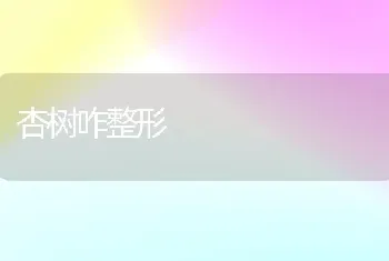 杏树咋整形