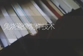 免烧瓷像制作技术