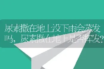 尿素撒在地上没下雨会蒸发吗