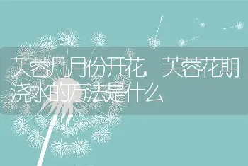 芙蓉几月份开花