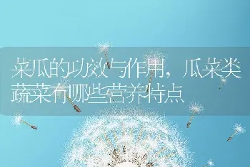 菜瓜的功效与作用