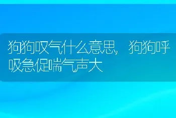 狗狗叹气什么意思