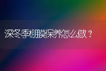 深冬季棚膜保养怎么做?