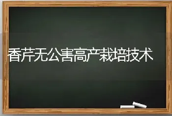 香芹无公害高产栽培技术