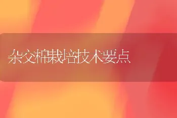 杂交棉栽培技术要点