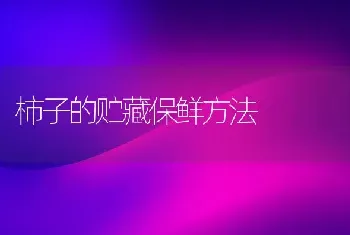 柿子的贮藏保鲜方法