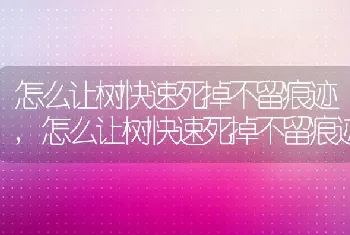 怎么让树快速死掉不留痕迹