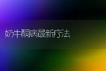 奶牛酮病最新疗法