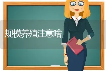 规模养殖注意啥