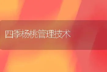 四季杨桃管理技术