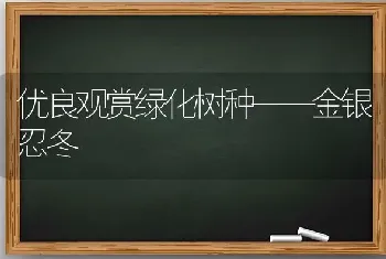 优良观赏绿化树种——金银忍冬