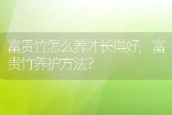 富贵竹怎么养才长得好