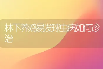 四季薹韭的无公害栽培技术