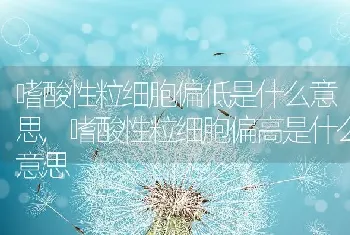 嗜酸性粒细胞偏低是什么意思,嗜酸性粒细胞偏高是什么意思