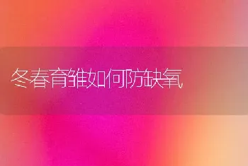 冬春育雏如何防缺氧