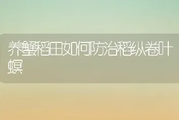 养蟹稻田如何防治稻纵卷叶螟