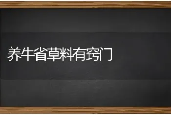 养牛省草料有窍门