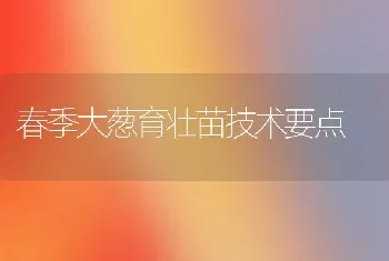 春季大葱育壮苗技术要点