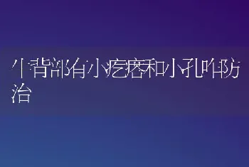 牛背部有小疙瘩和小孔咋防治