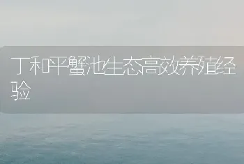 丁和平蟹池生态高效养殖经验